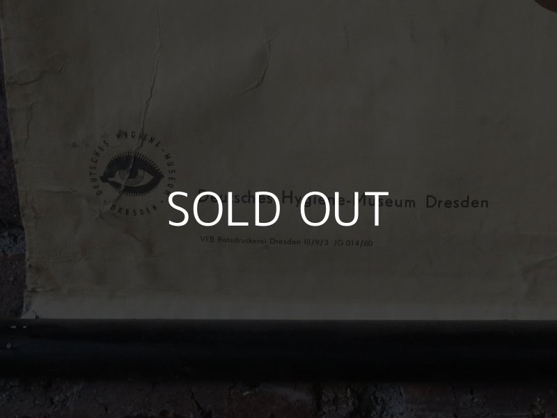 画像8: VINTAGE MEDICAL CHART ヴィンテージ メディカルチャート 人体図 解剖図 スカル ドクロ