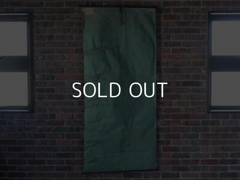 画像10: VINTAGE MEDICAL CHART ヴィンテージ メディカルチャート 人体図 解剖図 スカル ドクロ