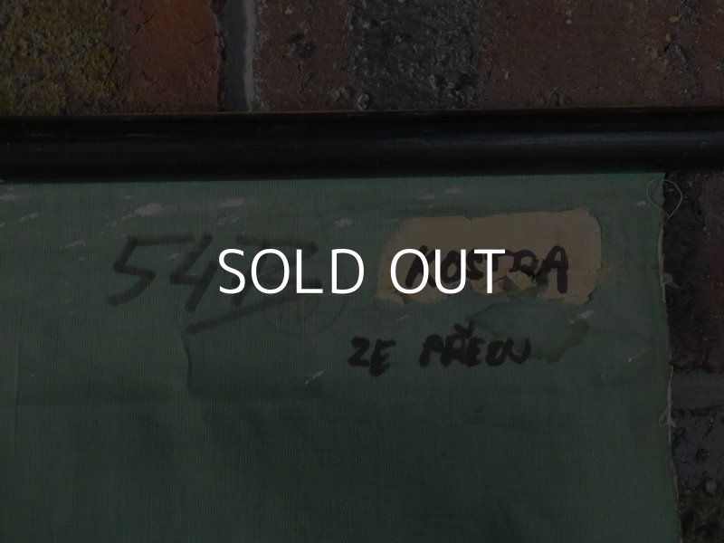 画像11: VINTAGE MEDICAL CHART ヴィンテージ メディカルチャート 人体図 解剖図 スカル ドクロ