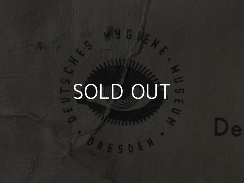 画像9: VINTAGE MEDICAL CHART ヴィンテージ メディカルチャート 人体図 解剖図 スカル ドクロ