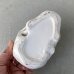 画像6: ヴィンテージ スカル 灰皿 陶器 ドクロ メガネ 眼鏡 JAPAN 日本製