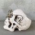 画像5: VINTAGE SKULL ヴィンテージ 眼鏡 スカル アッシュトレイ ドクロ メガネ 陶器 灰皿 輸出用