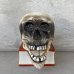 画像2: VINTAGE SKULL ON BOOK  CANDLE HOLDER ヴィンテージ スカル キャンドルホルダー / 陶器 日本製 輸出用 顎 スカルオンブック (2)