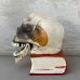画像4: VINTAGE SKULL ON BOOK  CANDLE HOLDER ヴィンテージ スカル キャンドルホルダー / 陶器 日本製 輸出用 顎 スカルオンブック