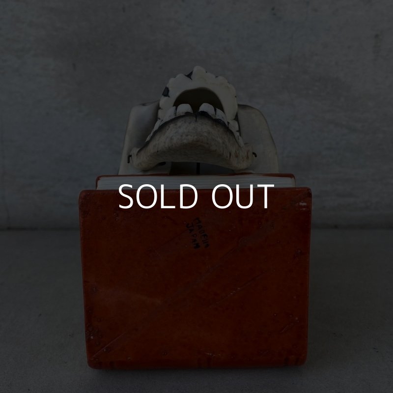 画像6: VINTAGE SKULL ON BOOK  CANDLE HOLDER ヴィンテージ スカル キャンドルホルダー / 陶器 日本製 輸出用 顎 スカルオンブック