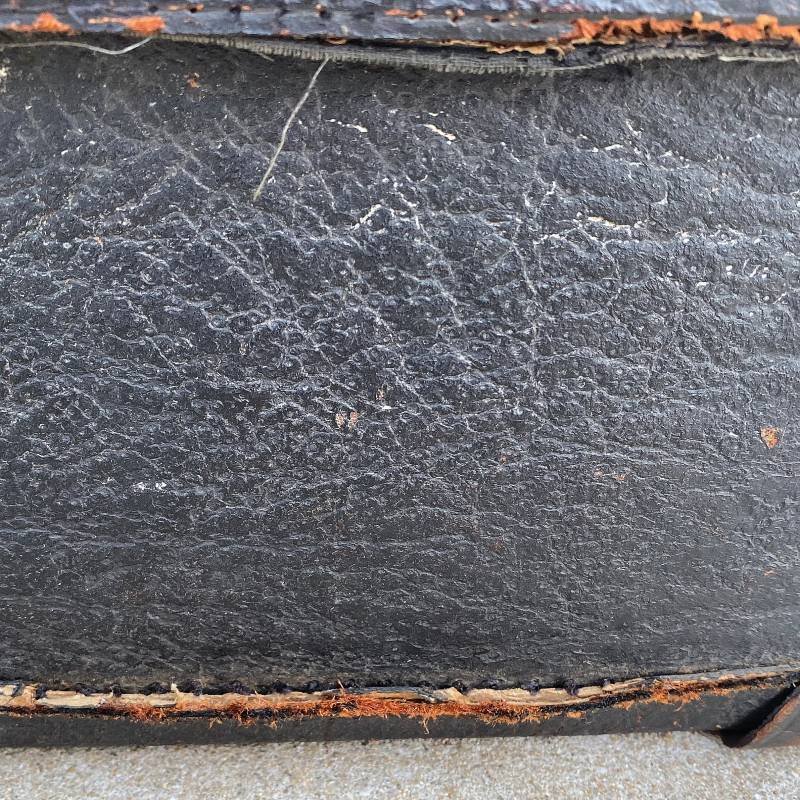 画像9: VINTAGE TRUNK SUITCASE ヴィンテージ トランク スーツケース アメリカ / ゾウ革 象革 エレファントレザー 鞄 店舗 什器 USA