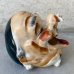 画像4: VINTAGE CERAMIC HOBO ASHTRAY ヴィンテージ セラミック アシュトレイ / JAPAN コレクタブル オブジェ 陶器 灰皿 輸出用 日本製 (1)
