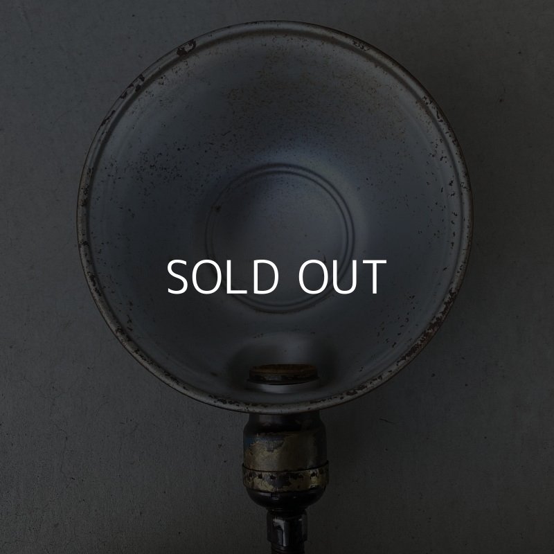 画像6: VINTAGE DESKLAMP EAGLE ヴィンテージ デスクランプ イーグル デスクライト スタンドライト 卓上ライト アメリカ / インダストリアル グースネック 照明 工業用 USA (2)