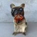 画像2: VINTAGE ANTIQUE CHALK WEAR BULLDOG ヴィンテージ アンティーク チョークウェア ブルドッグ オブジェ アメリカ / コレクタブル インテリア 置物 犬 USA (2)