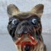 画像8: VINTAGE ANTIQUE CHALK WEAR BULLDOG ヴィンテージ アンティーク チョークウェア ブルドッグ オブジェ アメリカ / コレクタブル インテリア 置物 犬 USA (8)