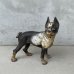 画像1: VINTAGE ANTIQUE BOSTON TERRIER DOOR STOPPER ヴィンテージ アンティーク ボストンテリア ドアストッパー / コレクタブル オブジェ キャストアイアン 鋳物 置物 犬 店舗什器 アメリカ (1) (1)