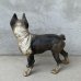 画像2: VINTAGE ANTIQUE BOSTON TERRIER DOOR STOPPER ヴィンテージ アンティーク ボストンテリア ドアストッパー / コレクタブル オブジェ キャストアイアン 鋳物 置物 犬 店舗什器 アメリカ (1) (2)