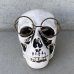 画像2: VINTAGE SKULL ASHTRAY ヴィンテージ スカル 灰皿 / 陶器 ドクロ メガネ 眼鏡 オブジェ 置物 JAPAN 日本製 (2) (2)