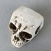 画像6: VINTAGE SKULL ASHTRAY ヴィンテージ スカル 灰皿 / 陶器 ドクロ メガネ 眼鏡 オブジェ 置物 JAPAN 日本製 (3)