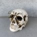 画像1: VINTAGE SKULL ASHTRAY ヴィンテージ スカル 灰皿 / 陶器 ドクロ メガネ 眼鏡 オブジェ 置物 JAPAN 日本製 (3) (1)