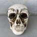 画像2: VINTAGE SKULL ASHTRAY ヴィンテージ スカル 灰皿 / 陶器 ドクロ メガネ 眼鏡 オブジェ 置物 JAPAN 日本製 (3) (2)