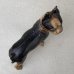 画像5: VINTAGE ANTIQUE BOSTON TERRIER DOOR STOPPER ヴィンテージ アンティーク ボストンテリア ドアストッパー / コレクタブル オブジェ キャストアイアン 鋳物 置物 犬 店舗什器 アメリカ (2)