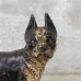 画像7: VINTAGE ANTIQUE BOSTON TERRIER DOOR STOPPER ヴィンテージ アンティーク ボストンテリア ドアストッパー / コレクタブル オブジェ キャストアイアン 鋳物 置物 犬 店舗什器 アメリカ  (1)