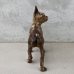 画像4: VINTAGE ANTIQUE BOSTON TERRIER DOOR STOPPER ヴィンテージ アンティーク ボストンテリア ドアストッパー / コレクタブル オブジェ キャストアイアン 鋳物 置物 犬 店舗什器 アメリカ (3)