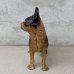 画像3: VINTAGE ANTIQUE BOSTON TERRIER DOOR STOPPER ヴィンテージ アンティーク ボストンテリア ドアストッパー / コレクタブル オブジェ キャストアイアン 鋳物 置物 犬 店舗什器 アメリカ (2)