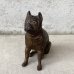 画像1: VINTAGE COINBANK PIGGY BANK  BOXER DOG ヴィンテージ 貯金箱 コインバンク / コレクタブル オブジェ キャストアイアン ボクサー 犬 動物 鋳物 置物 アメリカ (1) (1)