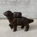 画像5: VINTAGE COINBANK PIGGY BANK  ST BERNARD ヴィンテージ 貯金箱 コインバンク / コレクタブル オブジェ キャストアイアン セントバーナード 犬 動物 鋳物 置物 アメリカ (1)