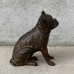 画像4: VINTAGE COINBANK PIGGY BANK  BOXER DOG ヴィンテージ 貯金箱 コインバンク / コレクタブル オブジェ キャストアイアン ボクサー 犬 動物 鋳物 置物 アメリカ (1)