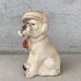 画像5: VINTAGE ANTIQUE BULLDOG CHALKWEAR ヴィンテージ アンティーク ブルドッグ チョークウェア オブジェ / コレクタブル ディスプレイ 置物 犬 アメリカ (2)