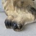 画像9: VINTAGE ANTIQUE CAT CHALKWEAR ヴィンテージ アンティーク 猫 ねこ チョークウェア オブジェ / コレクタブル ディスプレイ インテリア  置物 動物 アメリカ (2)