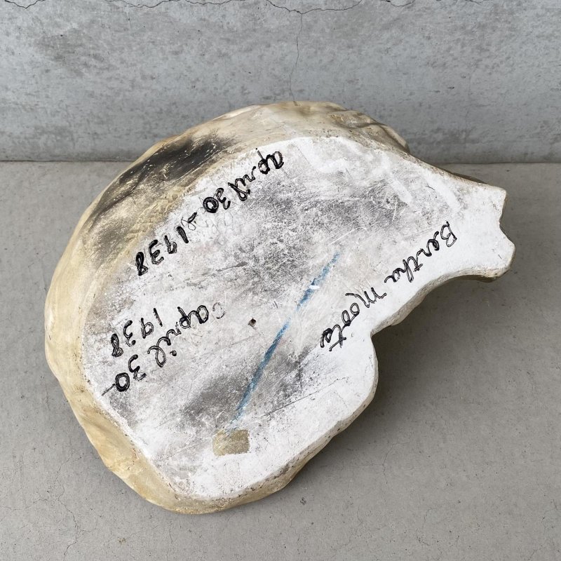 画像6: VINTAGE ANTIQUE CAT CHALKWEAR ヴィンテージ アンティーク 猫 ねこ チョークウェア オブジェ / コレクタブル ディスプレイ インテリア  置物 動物 アメリカ (2)