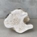 画像6: VINTAGE ANTIQUE CHALKWEAR CAT ヴィンテージ アンティーク チョークウェア 猫 ねこ オブジェ / コレクタブル ディスプレイ インテリア 置物 動物 アメリカ (1)