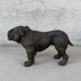 画像5: VINTAGE ANTIQUE BULLDOG FIGURE ヴィンテージ アンティーク ブルドッグ オブジェ 置物 / コレクタブル ディスプレイ インテリア 犬 動物 鋳物 アメリカ 