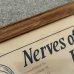 画像8: VINTAGE ANTIQUE NERVES OF THE HEAD FACE AND NECK ヴィンテージ アンティーク ウォールインテリア フレーム 額装 解剖図 / 人体解剖学 壁掛け 木製 店舗什器 アメリカ (1)