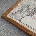 画像4: VINTAGE ANTIQUE MUSCLES OF THE HEAD FACE AND NECK ヴィンテージ アンティーク ウォールインテリア フレーム 額装 解剖図 / 人体解剖学 壁掛け 木製 店舗什器 アメリカ (2)