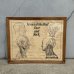 画像1: VINTAGE ANTIQUE NERVES OF THE HEAD FACE AND NECK ヴィンテージ アンティーク ウォールインテリア フレーム 額装 解剖図 / 人体解剖学 壁掛け 木製 店舗什器 アメリカ (1) (1)