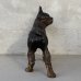 画像4: VINTAGE ANTIQUE BOSTON TERRIER DOOR STOPPER ヴィンテージ アンティーク ボストンテリア ドアストッパー / コレクタブル オブジェ キャストアイアン 鋳物 置物 犬 店舗什器 アメリカ (4) (4)