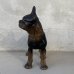 画像3: VINTAGE ANTIQUE BOSTON TERRIER DOOR STOPPER ヴィンテージ アンティーク ボストンテリア ドアストッパー / コレクタブル オブジェ キャストアイアン 鋳物 置物 犬 店舗什器 アメリカ (4) (3)