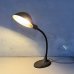 画像12: VINTAGE ANTIQUE DESKLAMP GE ヴィンテージ アンティーク デスクランプ スタンドライト 卓上ライト テーブルランプ 照明 / グースネック アイアン E26 店舗什器 アメリカ (2) (12)