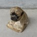 画像1: VINTAGE ANTIQUE CHALKWEAR BULLDOG ヴィンテージ アンティーク チョークウェア ブルドッグ オブジェ / コレクタブル ディスプレイ インテリア 犬 置物 動物 アメリカ (1)