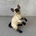 画像1: VINTAGE ANTIQUE LEFTON CAT FIGURINE ヴィンテージ アンティーク 猫 ネコ オブジェ 置物 / コレクタブル シャムネコ インテリア 陶器 雑貨 輸出用 日本製 JAPAN (1)