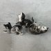 画像7: VINTAGE ANTIQUE CAT FIGURINE ヴィンテージ アンティーク 猫 ネコ オブジェ 陶器 / コレクタブル インテリア 子猫 置物 雑貨 3匹 セット アメリカ  (7)