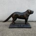 画像4: VINTAGE ANTIQUE JAPANNED NUTCRACKER CROWES IRON WORKS DOG ヴィンテージ アンティーク ジャパンド ジャパンフィニッシュ くるみ割り ナッツクラッカー 犬 / コレクタブル ディスプレイ オブジェ キャストアイアン 鋳物 置物 動物 雑貨 アメリカ (4)