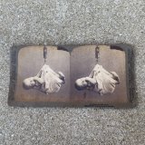 VINTAGE ANTIQUE STEREOSCOP PHOTO ヴィンテージ アンティーク ステレオスコープ 写真 ステレオカード / コレクタブル ディスプレイ インテリア アメリカ A