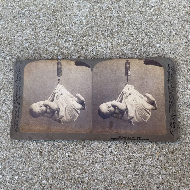 画像1: VINTAGE ANTIQUE STEREOSCOP PHOTO ヴィンテージ アンティーク ステレオスコープ 写真 ステレオカード / コレクタブル ディスプレイ インテリア アメリカ A