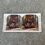 VINTAGE ANTIQUE STEREOSCOP PHOTO ヴィンテージ アンティーク ステレオスコープ 写真 ステレオカード / コレクタブル ディスプレイ インテリア アメリカ C