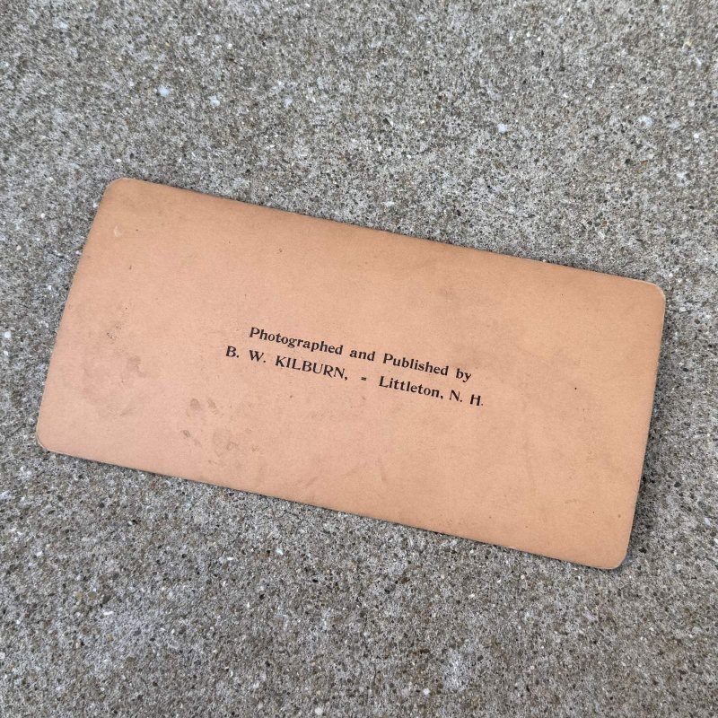 画像2: VINTAGE ANTIQUE STEREOSCOP ヴィンテージ アンティーク ステレオスコープ 写真 ステレオカード / コレクタブル ディスプレイ インテリア アメリカ E