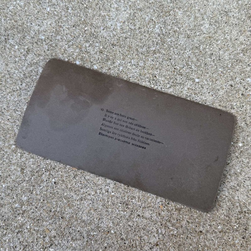 画像2: VINTAGE ANTIQUE STEREOSCOP PHOTO ヴィンテージ アンティーク ステレオスコープ 写真 ステレオカード / コレクタブル ディスプレイ インテリア アメリカ A