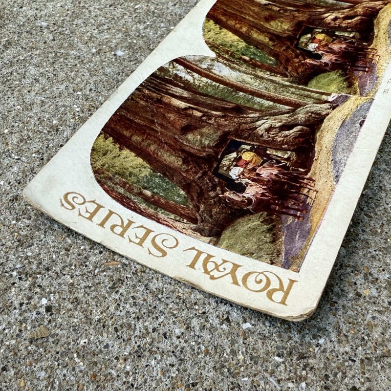 画像4: VINTAGE ANTIQUE STEREOSCOP PHOTO ヴィンテージ アンティーク ステレオスコープ 写真 ステレオカード / コレクタブル ディスプレイ インテリア アメリカ C