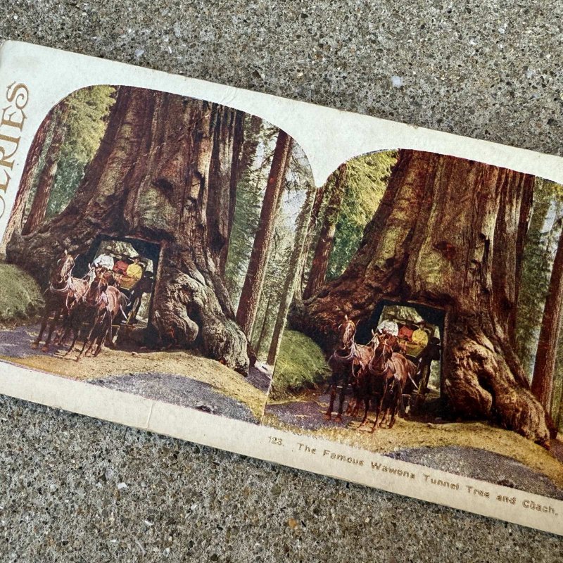 画像5: VINTAGE ANTIQUE STEREOSCOP PHOTO ヴィンテージ アンティーク ステレオスコープ 写真 ステレオカード / コレクタブル ディスプレイ インテリア アメリカ C