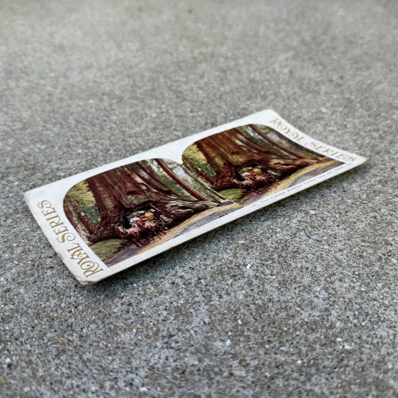 画像3: VINTAGE ANTIQUE STEREOSCOP PHOTO ヴィンテージ アンティーク ステレオスコープ 写真 ステレオカード / コレクタブル ディスプレイ インテリア アメリカ C